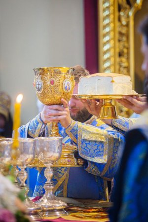 Митрополит Никон принял участие в торжествах на Дону, посвященных празднованию в честь Донского образа Божией Матери.